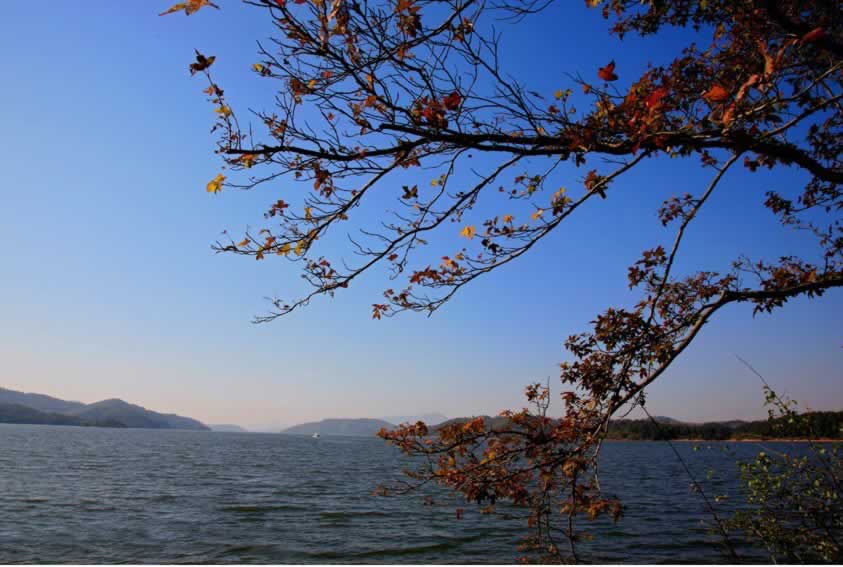 Yangtze River Sceneries in Summer 