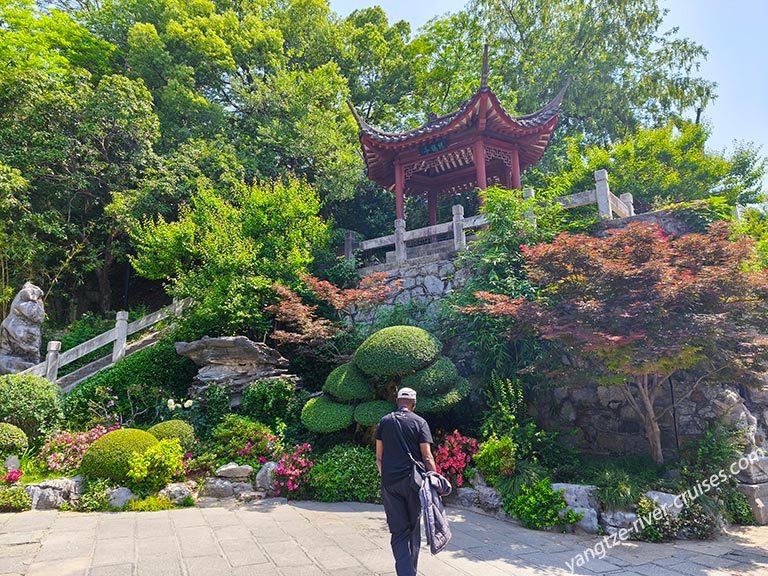 Clare and James Enjoyed the Shore Excursions Arranged by Century Legend in April 2025 Yangtze China Tour Review