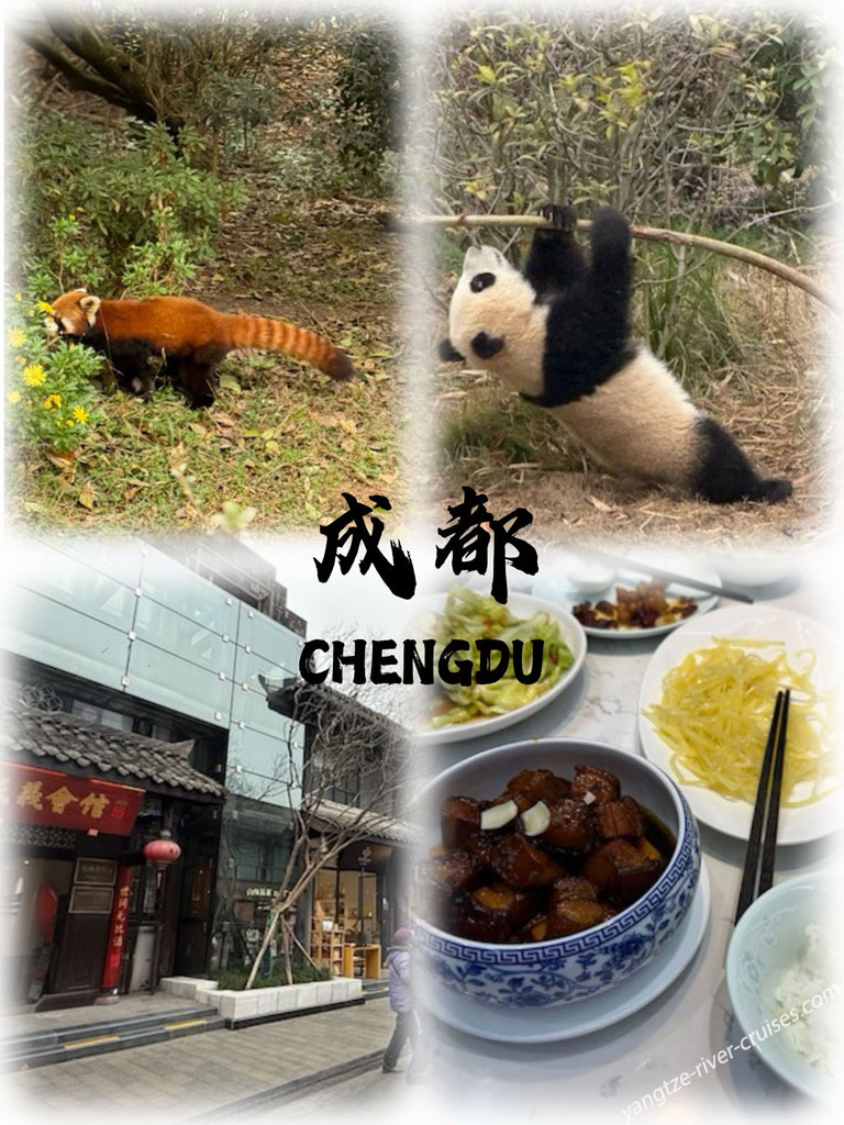 Chengdu City Tour | Late December 2025 | Curated by Elk Yangtze China Tour Review