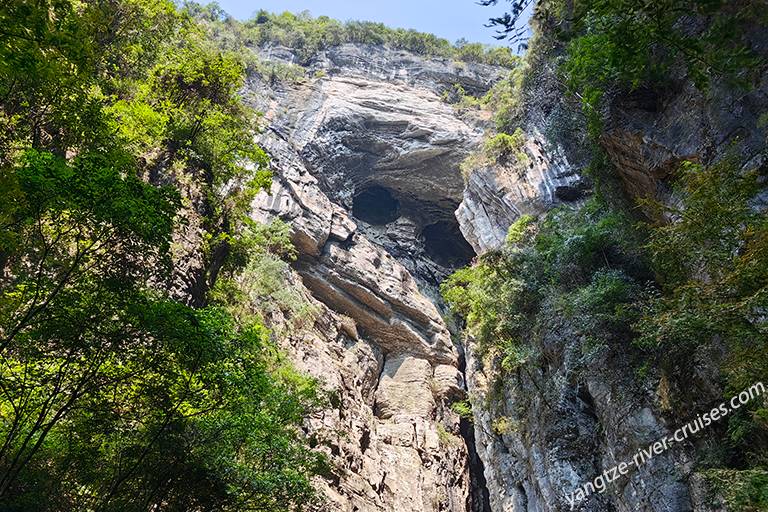 Three Natural Bridges