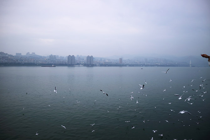 Yangtze River View