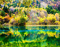 Jiuzhaigou Valley Gorgeous Autumn Scenery