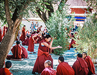 Spectacular Buddhism Debating in Sera Monastery