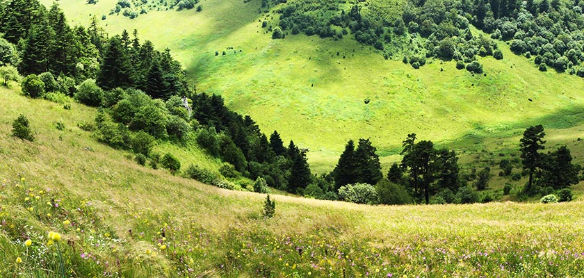 Yangtze River Cruise - Shennongjia Natural Reserve