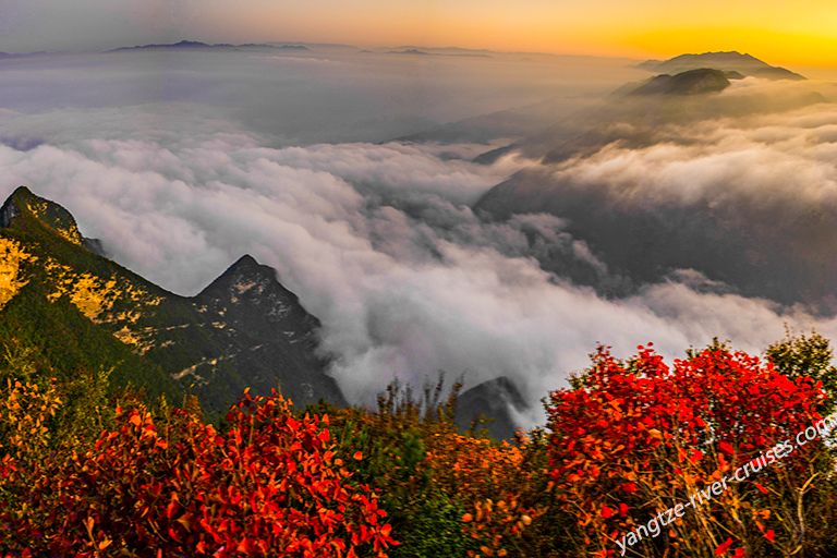 Three Gorges Summit