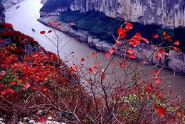 Beautiful Landscape of Wu Gorge 