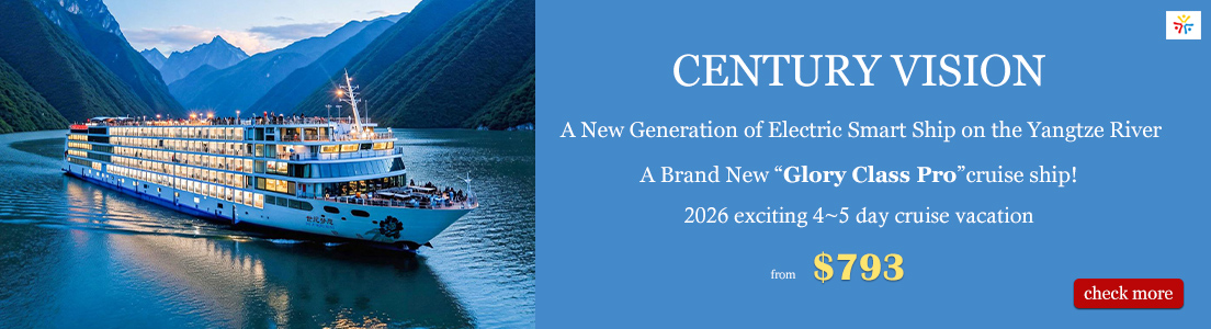 Century Vision