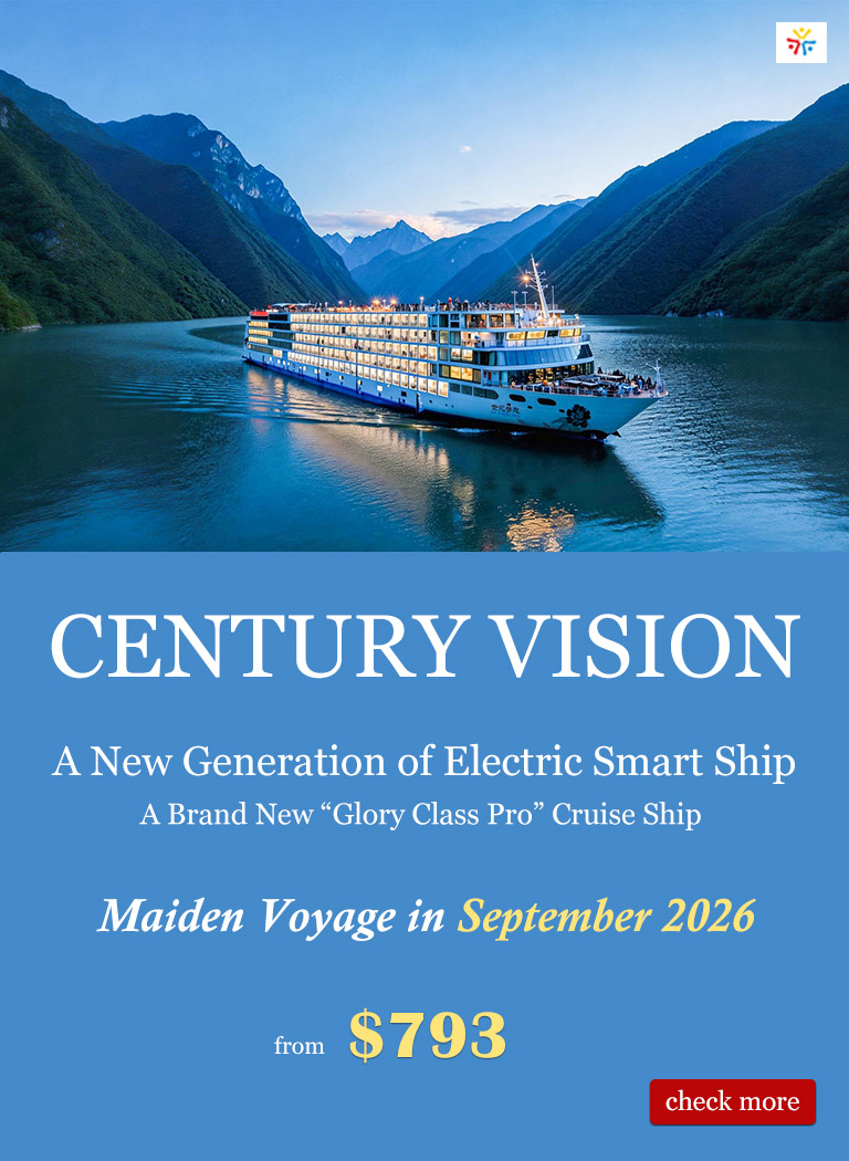 Century Vision